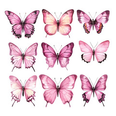 Butterfly illustration set. Beautiful tropical moths isolated on white background. Flying cute insects with colorful wings