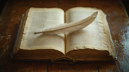 A close-up an open book with a quill pen resting on the pages, softly blurred background with hints...