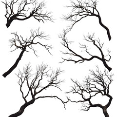 Obraz premium tree branches set 