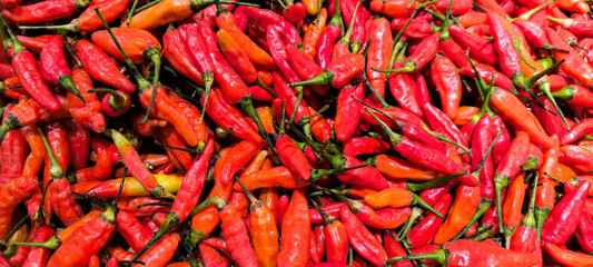 Top view pile of organic glossy ripe red hot cayenne chilis, capsicum crop. Red hot cayenne chili peppers pattern texture background. Close up. Landscape. A backdrop of red hot cayenne chili peppers.