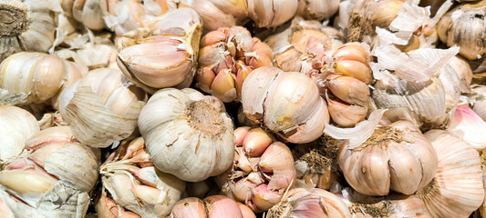 Pile of fresh garlic in a supermarket display