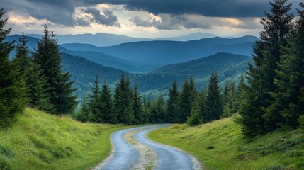 Winding Road Through a Forest Leading to Distant Mountains Under a Cloudy Sky