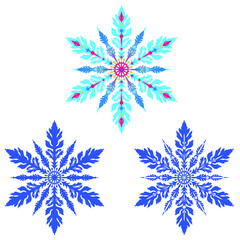 Beautiful multi-colored snowflake with twelve rays