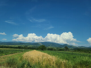 Scenic Landscape with Field and Mountains