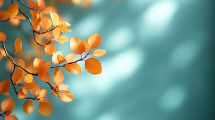  Orange branches on soft blue background.