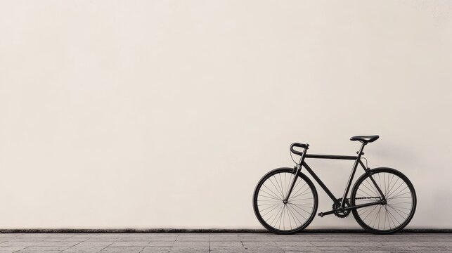 Minimalist Bicycle in Monochromatic Setting