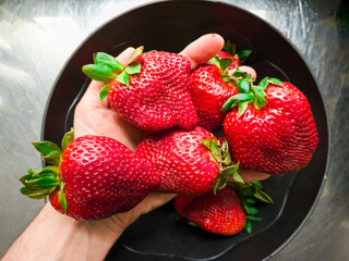 Hand taking some strawberries over a bowl.