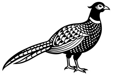 An image of a male pheasant in the snow about to jump over a fence on East Yorkshire farmland