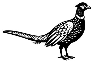 An image of a male pheasant in the snow about to jump over a fence on East Yorkshire farmland