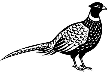 An image of a male pheasant in the snow about to jump over a fence on East Yorkshire farmland