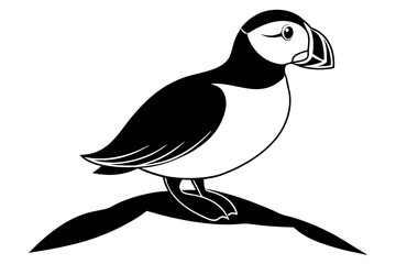 Obraz premium AtlaAtlantic Puffin standing on cliff vector art illustration