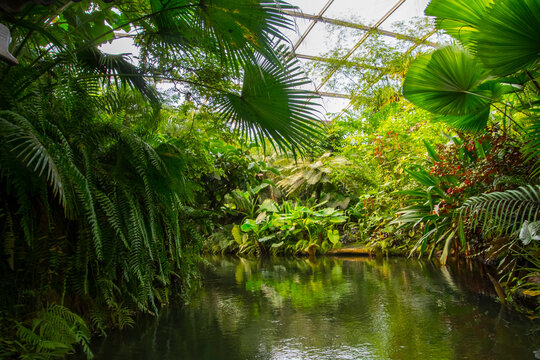 Tropical forest exhibit at Leipzig Zoo