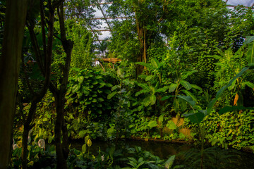 Tropical forest exhibit at Leipzig Zoo