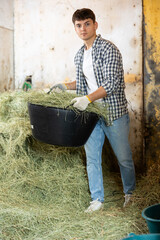 Young guy in plaid shirt and gloves stacking hay for feeding horses in basket at small stable © JackF