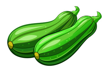 Two green squash on vector art illustration 