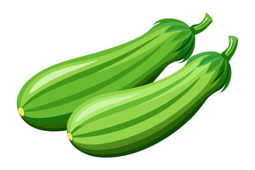 Two green squash on vector art illustration 