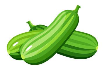 Two green squash on vector art illustration 
