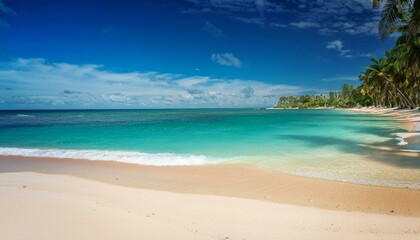 Fototapeta premium beach