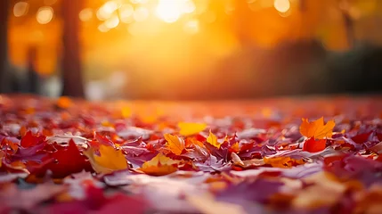 Fleecedeken met foto Autumnal Embrace: A vibrant tapestry of fallen leaves paints a picturesque scene under the warm glow of the sun, capturing the essence of autumn. © DASHINKAN