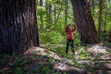 Naklejka premium A man is taking a picture of a tree with a camera phone. The man is wearing an orange jacket.