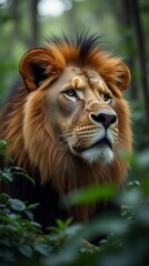 Fototapeta premium Close up of a lion in the jungle portrait of a lion in the forest