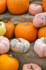 Tall arrangement of pumpkins of various colors on natural fabric. Vertical photo