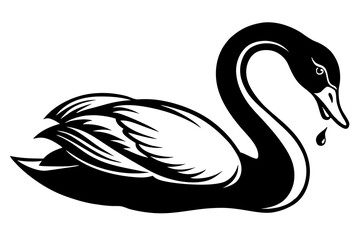  A swan is eating vector illustration 