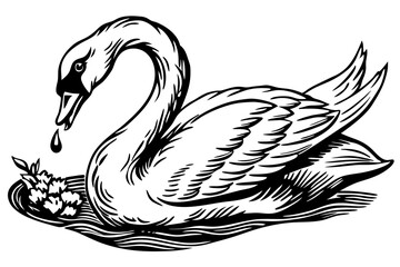  A swan is eating vector illustration 