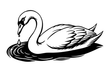  A swan is eating vector illustration 