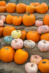 Colorful pumpkins in different sizes on display with orange and cream shades
