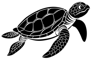  turtle underwater in Hawaii