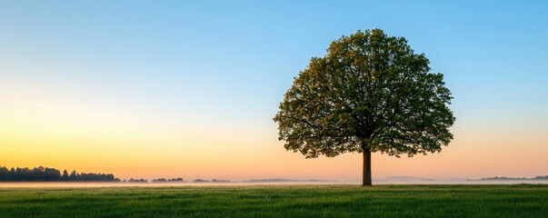 Obraz premium Lone tree against a colorful sunset, surrounded by lush greenery.