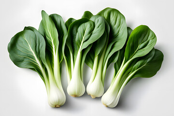  Fresh whole bok choy isolated white background food advertising Asian cuisine mockup template set elements objects ripe uncooked eco farm organic