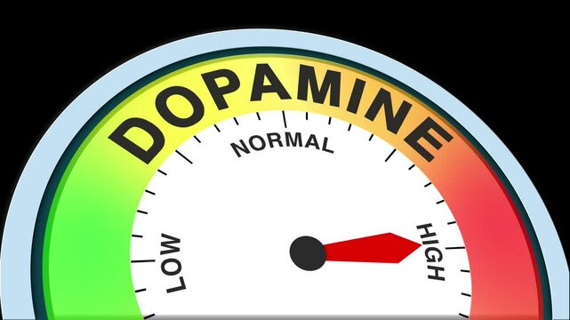 Dopamine Level Text or Word Low and Medium to High Meter Concept Animation on Black Background and Blue Screen