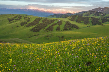 landscape with meadow and mountains