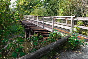 An image of an old wooden footbridge over a small stream.