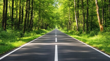 Fototapeta premium Road Through Forest