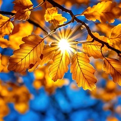 Fototapeta premium Autumnal Oak Tree: Colorful Leaves Swinging in Bright Park - Beautiful Nature Scene for Fall Background