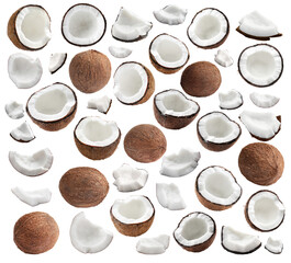 Coconuts isolated on white, collage. Whole and pieces
