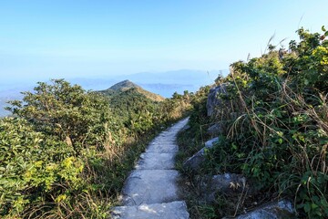  A Stone Stairway Ascends Through Lush Green Hills