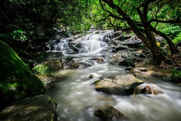 Fototapeta premium Serene Waterfall Cascading Over Smooth Rocks in Nature, Little Hawaii Falls, Hong Kong