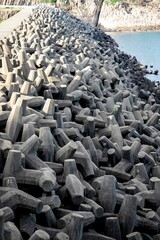 Obraz premium Concrete Tetrapods Protecting the Coastline from Erosion, High Island Reservoir, Hong Kong