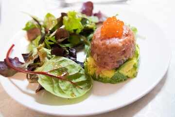 Gourmet Tuna Tartare with Fresh Mixed Greens Salad