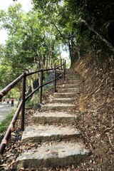 Stone Staircase Leading Through a Forest Path