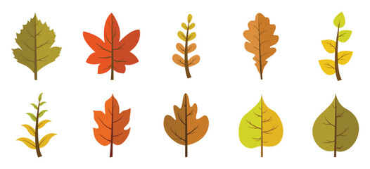 Fototapeta premium Autumn Leaves Illustration