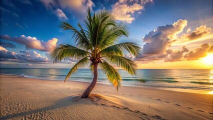 Fototapeta premium Golden Hues of the Setting Sun Embrace a Lonely Palm Tree on a Pristine Sandy Beach
