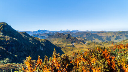 Panoramic landscape of the Cotopaxi volcano