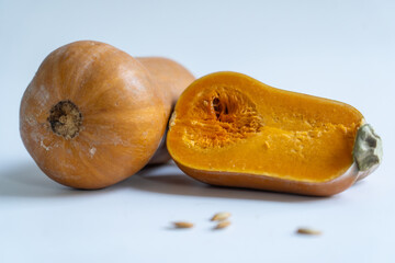 pumpkin with white background