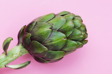 Purple artichoke on pink background.