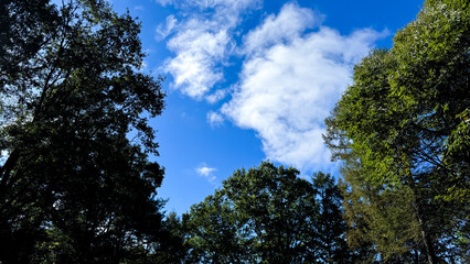 The beautiful views in Nagano